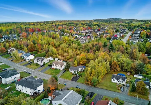 Maison à vendre - 1554 Rue de la Douce-Montée, Magog, J1X 5X6