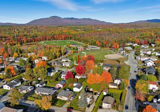 Maison à vendre - 300 Rue St-Michel, Magog, J1X 4H8