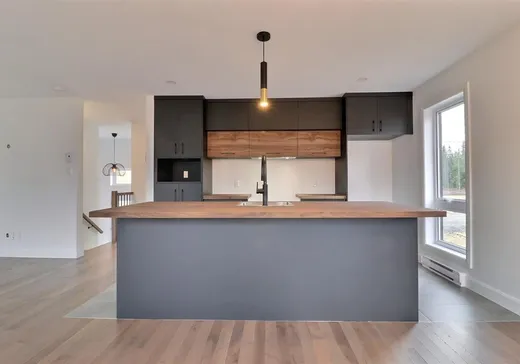 Maison à vendre - 2698 Rue des Bouleaux, Lyster, G0S 1V0