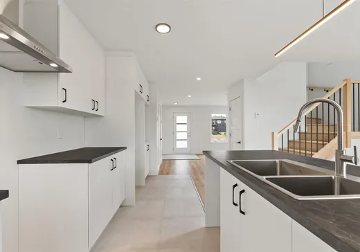 Maison à vendre - 6 Rue du Caucase, Ste-Brigitte-De-Laval, G0A 3K0