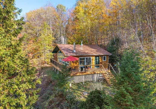 Maison à vendre - 32 Ch. Bombardier, Mansonville, J0E 1X0