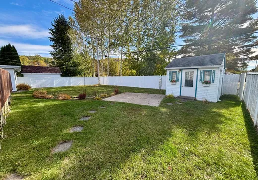 Maison à vendre - 3 Rue Marquette, La Tuque, G9X 3J2