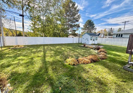 Maison à vendre - 3 Rue Marquette, La Tuque, G9X 3J2