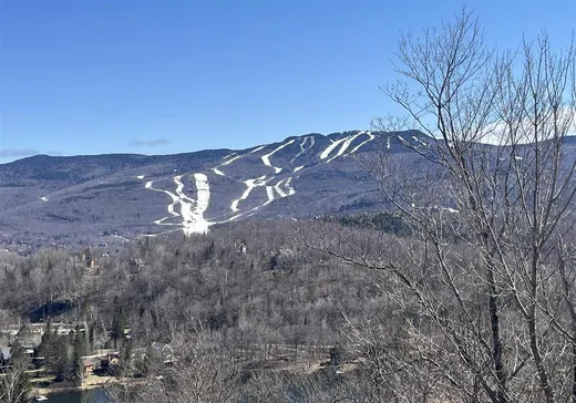 Condo à vendre - 260 Rue du Mont-Plaisant, App. 8, Mont-Tremblant, J8E1L2