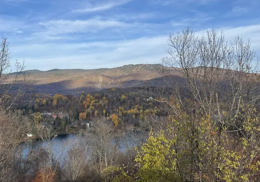 Condo à vendre - 260 Rue du Mont-Plaisant, App. 8, Mont-Tremblant, J8E 1L2