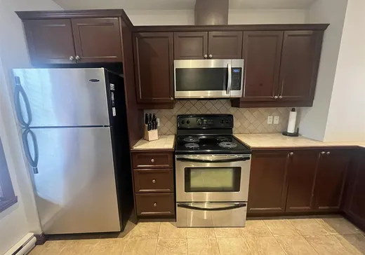 Condo à vendre - 260 Rue du Mont-Plaisant, App. 8, Mont-Tremblant, J8E 1L2