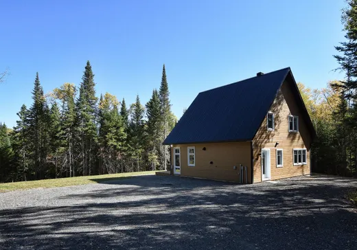 Maison à vendre - 851 Ch. du Lac-à-la-Truite, Saint-Michel-des-Saints, J0K 3B0