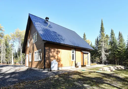 Maison à vendre - 851 Ch. du Lac-à-la-Truite, Saint-Michel-des-Saints, J0K 3B0