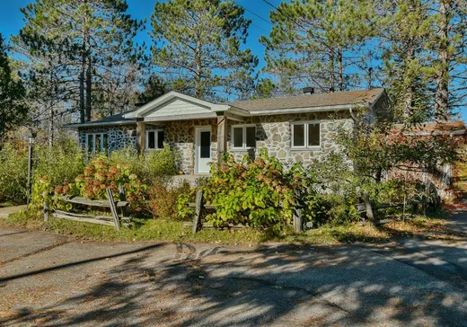 Bungalow à vendre - 160 Rue L'Allier, Mont-Tremblant, J0T1H0