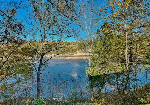 Maison à vendre - 160 Rue L'Allier, Mont-Tremblant, J0T 1H0