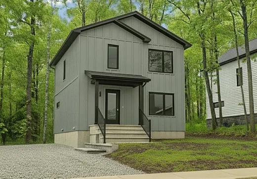 Maison à étages à vendre - 29 Rue de l'Oural, Ville de Québec, G1B0S8
