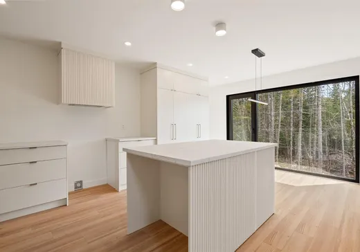 Maison à vendre - 29 Rue de l'Oural, Ville de Québec, G1B 0S8