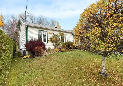 House for sale - 759 Av. du Parc, Sherbrooke, J1N 3N6