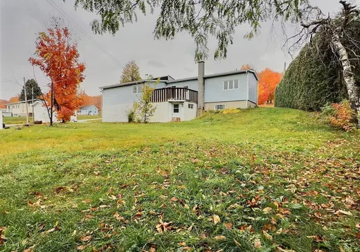 Maison à vendre - 117 Route Pouliot, Saint-Christophe-D'Arthabaska, G6R 0N5