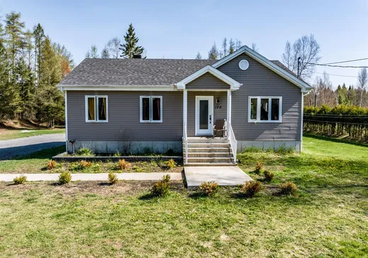 Maison à étages à vendre - 100 Rue Picard, St-Alexis-Des-Monts, J0K1V0