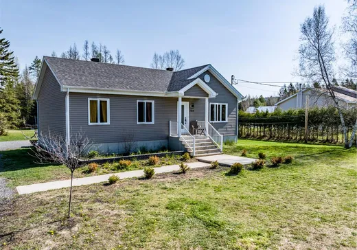 Maison à vendre - 100 Rue Picard, St-Alexis-Des-Monts, J0K 1V0