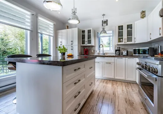 Maison à vendre - 785 Rue Mongrain, Saint-Roch-de-Mékinac, G0X 2E0