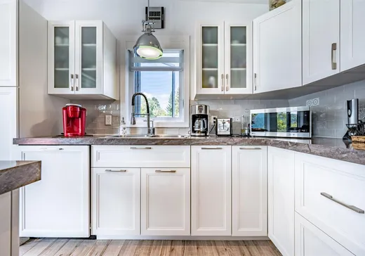 Maison à vendre - 785 Rue Mongrain, Saint-Roch-de-Mékinac, G0X 2E0