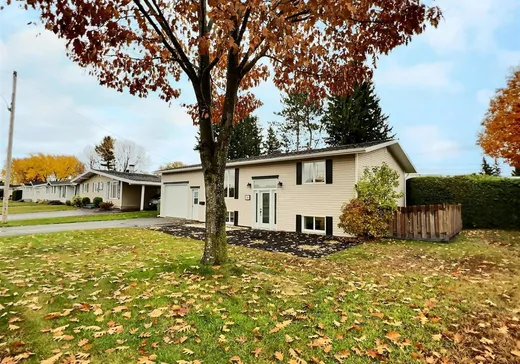Maison à vendre - 50 Rue des Bouleaux, Victoriaville, G6P 2G7