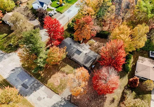 Maison à vendre - 260 Rue Tarrant, Magog, J1X 3P4