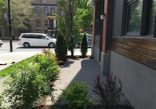 Condo à vendre - 5363 Rue St-Denis, App. 101, Montréal (Centreville), H2J 0A8