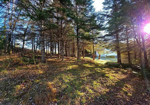 House for sale - 164 14e Rang, Lac-Etchemin, G0R 1S0