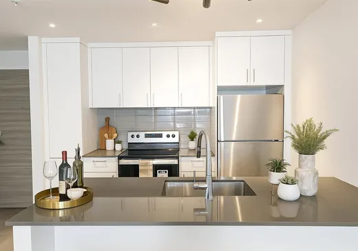 Condo for sale - 1400 Rue Ottawa, App. 309B, Montreal (Downtown), H3C 0Y9