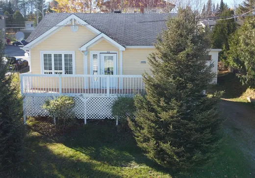 Maison à étages à vendre - 753 Rue Boileau, Rivière-Rouge, J0T1T0