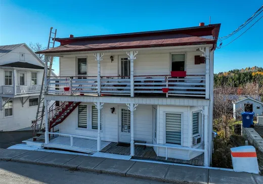 Maison à vendre - 3915 Rue du Lac-Noir, Black-Lake, G6H 1T1