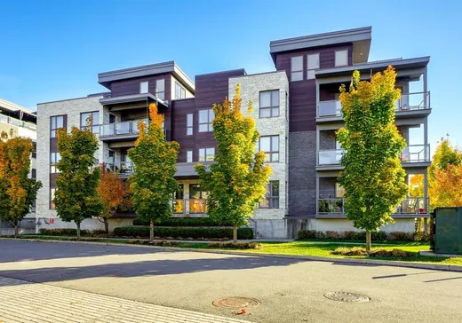 Condo à vendre - 1195 Rue Marie-Gérin-Lajoie, App. 101, Terrebonne, J6Y0M5