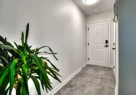 Condo à vendre - 2420 Rue Henriette-Céré, St-Hubert, J3Y 9B6