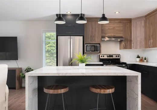 Maison à vendre - 225 Rue des Pivoines, Mont-Laurier, J9L 3G3