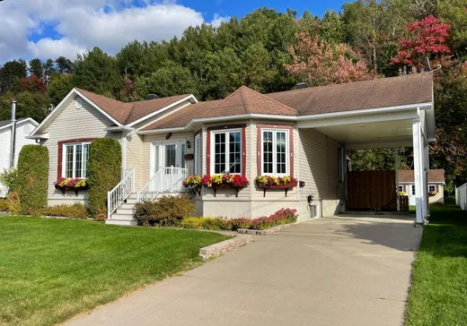 House for sale - 30 Rue Marie-Rollet, La Tuque, G9X 4C6