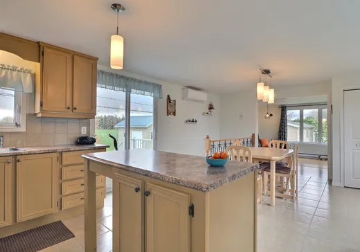 House for sale - 16 Rue Cormier, Victoriaville, G6P 7S1