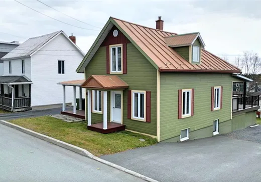 Un étage et demi à vendre - 183 Rue Principale, Lac-Etchemin, G0R1S0
