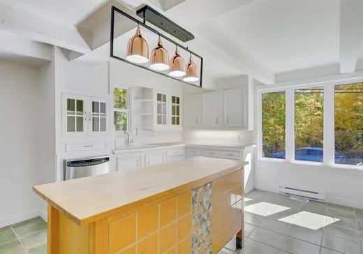 Maison à étages à vendre - 305 Ch. du Tour-du-Lac, Sainte-Agathe-des-Monts, J8C2Z7