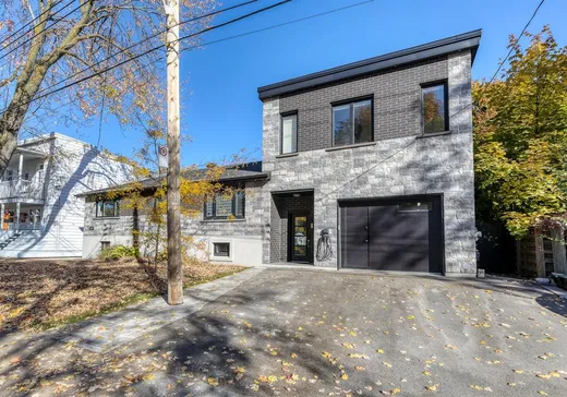 Maison à étages à vendre - 1883 Rue Honoré-Beaugrand, Montréal (Mercier/Hochelaga-Maisonneuve), H1L5X2