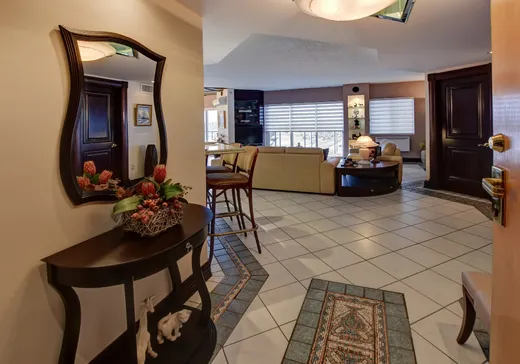 Condo à vendre - 7333 Rue Pierre-Corneille 408, Montréal (Centreville), H1M 3N9