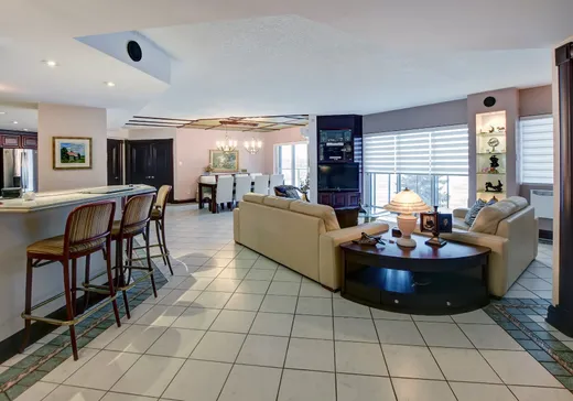 Condo à vendre - 7333 Rue Pierre-Corneille 408, Montréal (Centreville), H1M 3N9