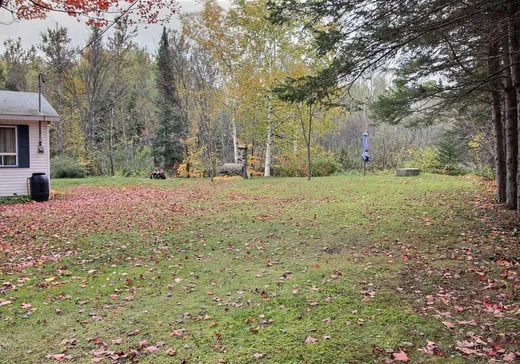 Maison à vendre - 378 Ch. Des Méandres, Saint-Antonin, G0L 2J0