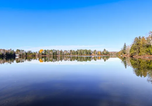 Maison à vendre - 95 Ch. Séguin, La Minerve, J0T 1S0