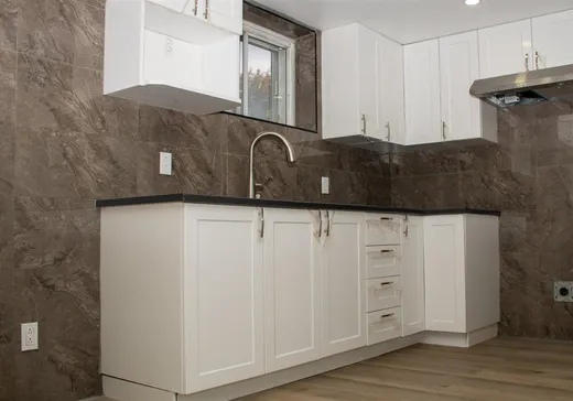 Maison à vendre - 10515 Av. Garon, Montréal (Nord), H1H 3T2