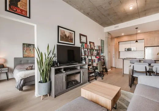 Condo à vendre - 3155 Av. Parkville, App. 520, Montréal (Mercier/Hochelaga-Maisonneuve), H1N0E7