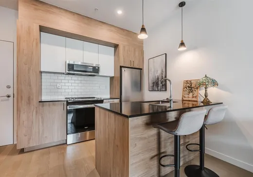 Condo à vendre - 3155 Av. Parkville, App. 520, Montréal (Mercier/Hochelaga-Maisonneuve), H1N 0E7