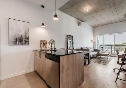 Condo à vendre - 3155 Av. Parkville, App. 520, Montréal (Mercier/Hochelaga-Maisonneuve), H1N 0E7