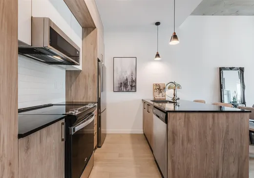Condo à vendre - 3155 Av. Parkville, App. 520, Montréal (Mercier/Hochelaga-Maisonneuve), H1N 0E7