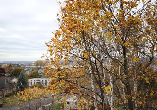 Condo à vendre - 39C Route Monseigneur-Bourget, Lévis, G6V 2Y6