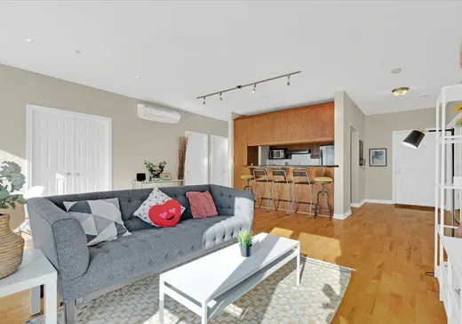 Condo à vendre - 320 Rue Sherbrooke O., App. 201, Montréal (Centreville), H2X 1X9