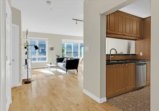 Condo à vendre - 320 Rue Sherbrooke O., App. 201, Montréal (Centreville), H2X 1X9