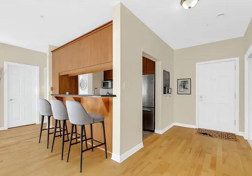 Condo à vendre - 320 Rue Sherbrooke O., App. 201, Montréal (Centreville), H2X 1X9